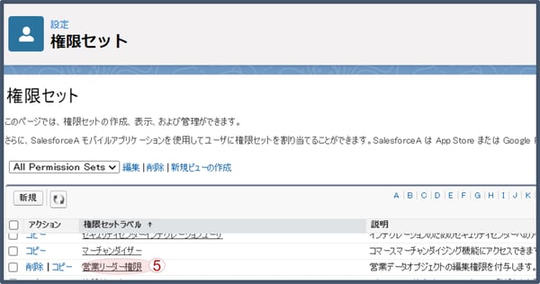権限セット設定3