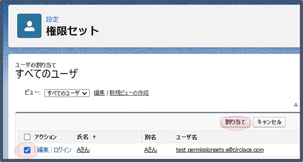 権限セット設定8