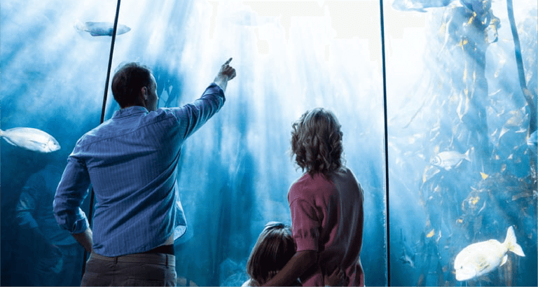 Father pointing a fish while the mother and the daughter looking at fish tank at the aquarium