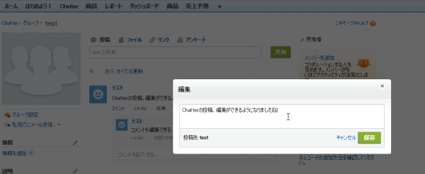 SnapCrab_グループ test ~ Salesforce - Unlimited Edition - Google Chrome_2015-7-3_16-3-42_No-00