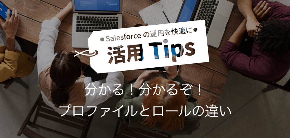 分かる!分かるぞ!プロファイルとロールの違い