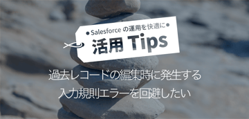 過去レコードの編集時に発生する 入力規則エラーを回避したい